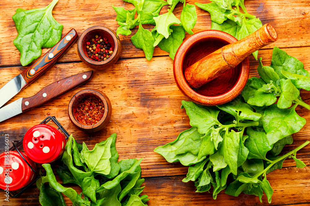 © nikolaydonetsk - Fresh spinach leaves