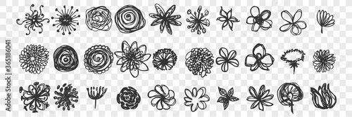 Hand drawn flowers doodle set