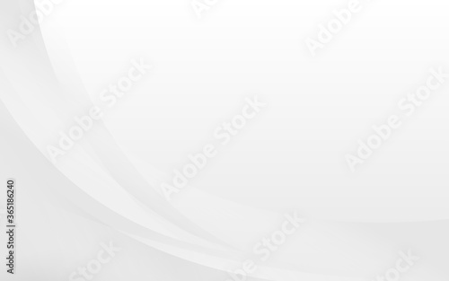 Light gray and white lines curve smooth modern texture abstract background vector illustration