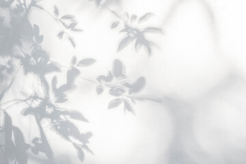 Leaf shadow on wall. Nature tropical leaves tree branch and plant shade with sunlight from sunshine dappled on white wall