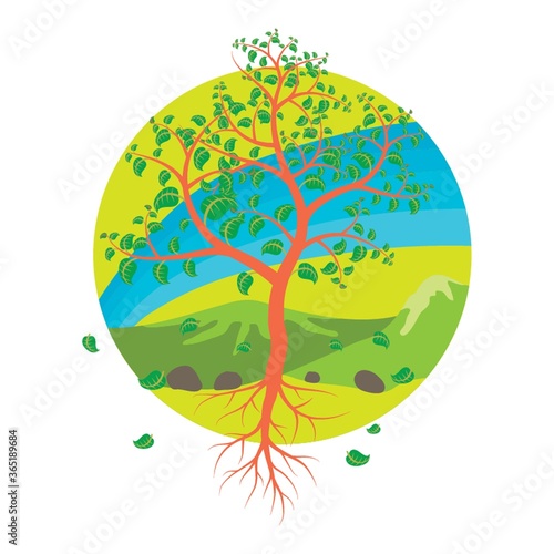 tree with fallen leaves