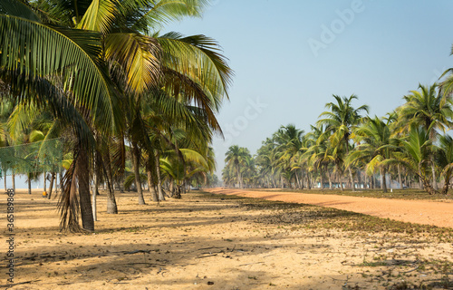 Tableau sur toile Paradise way in Africa
