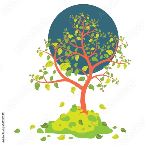 tree with fallen leaves