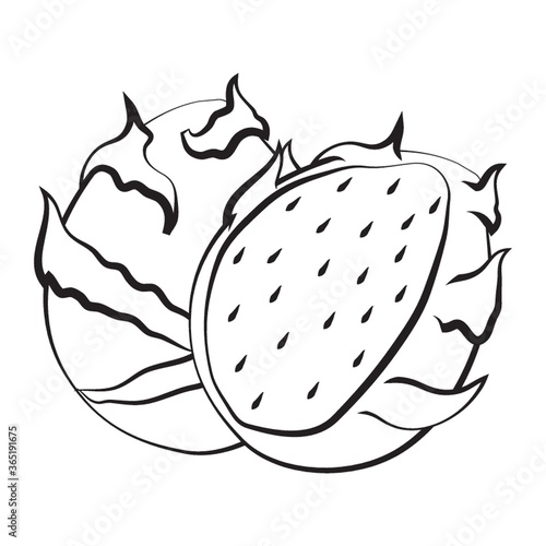 dragon fruit