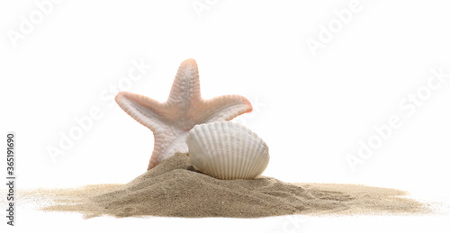 Plastic starfish and seashell in sand pile isolated on white background