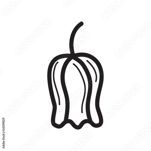 capsicum