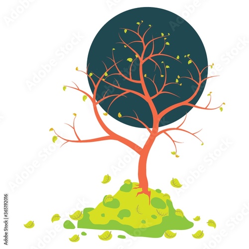 almost bare tree