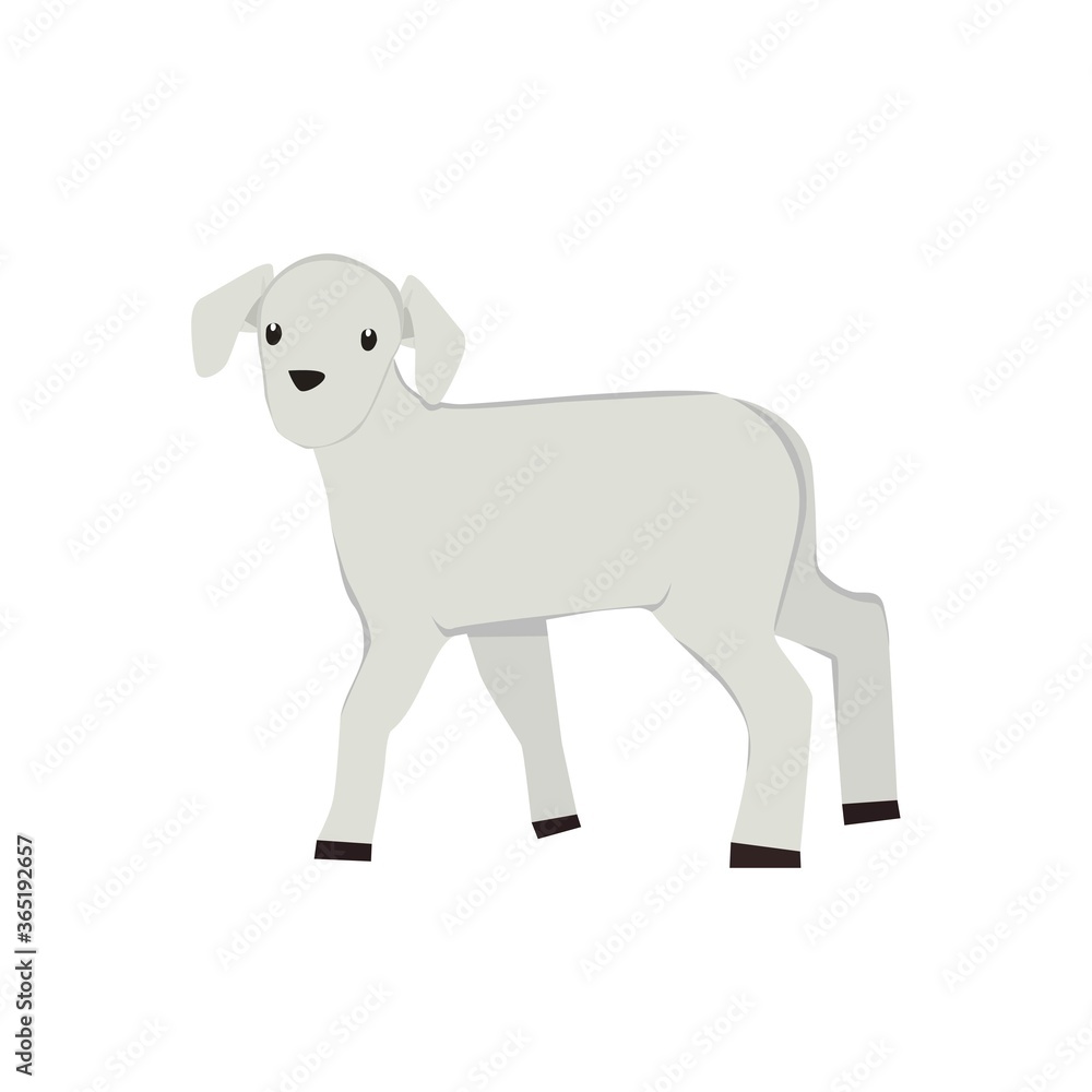 Goats Illustration