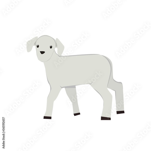 Goats Illustration