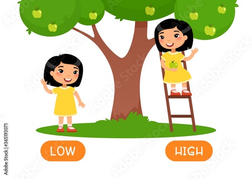 Low and hight antonyms word card vector template. Flashcard for english language learning. Opposites concept. Asian little girl sitting on ladder, standing under tree illustration with typography