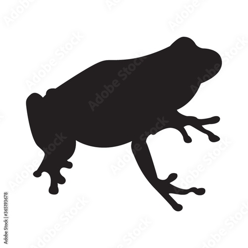 silhouette of frog
