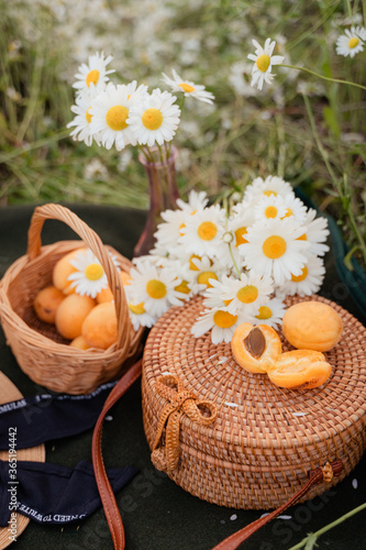 picnic in a chamomile field, apricots, plaid, hat, summer mood, weekend in nature, flat lay. mood