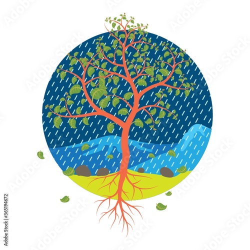 tree with fallen leaves