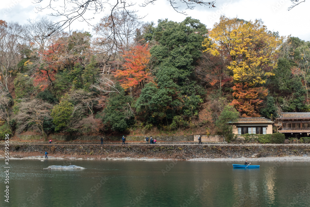 Fototapeta premium Autumn in Arashiyama, Kyoto, Japan