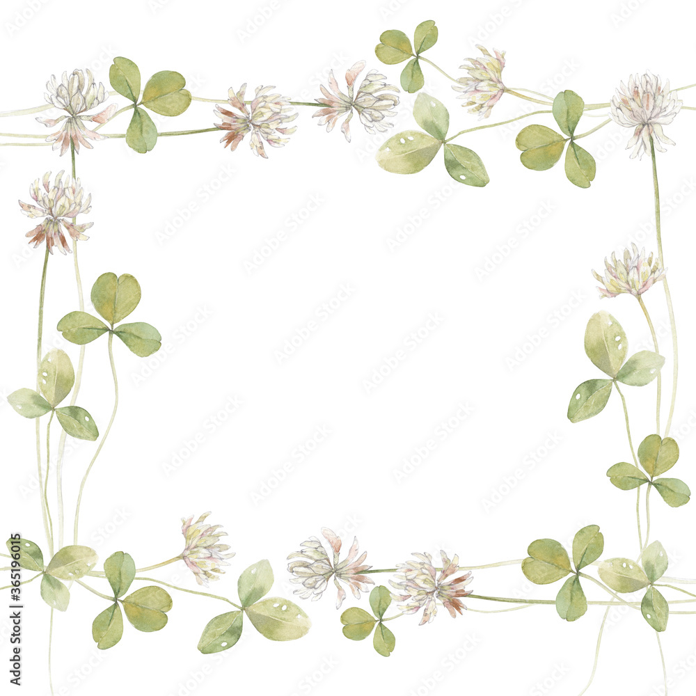 Watercolor illustration on white with copy space for text - background with clover - backdrop for greeting cards, posters, banners and placards. Square floral arrangement.