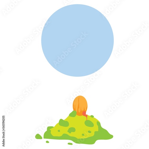 a tree seed planted in the ground