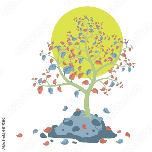 tree with fallen leaves