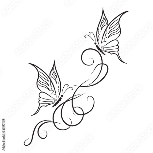 butterfly tattoo