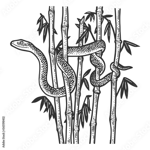 snake in bamboo thickets sketch engraving vector illustration. T-shirt apparel print design. Scratch board imitation. Black and white hand drawn image.