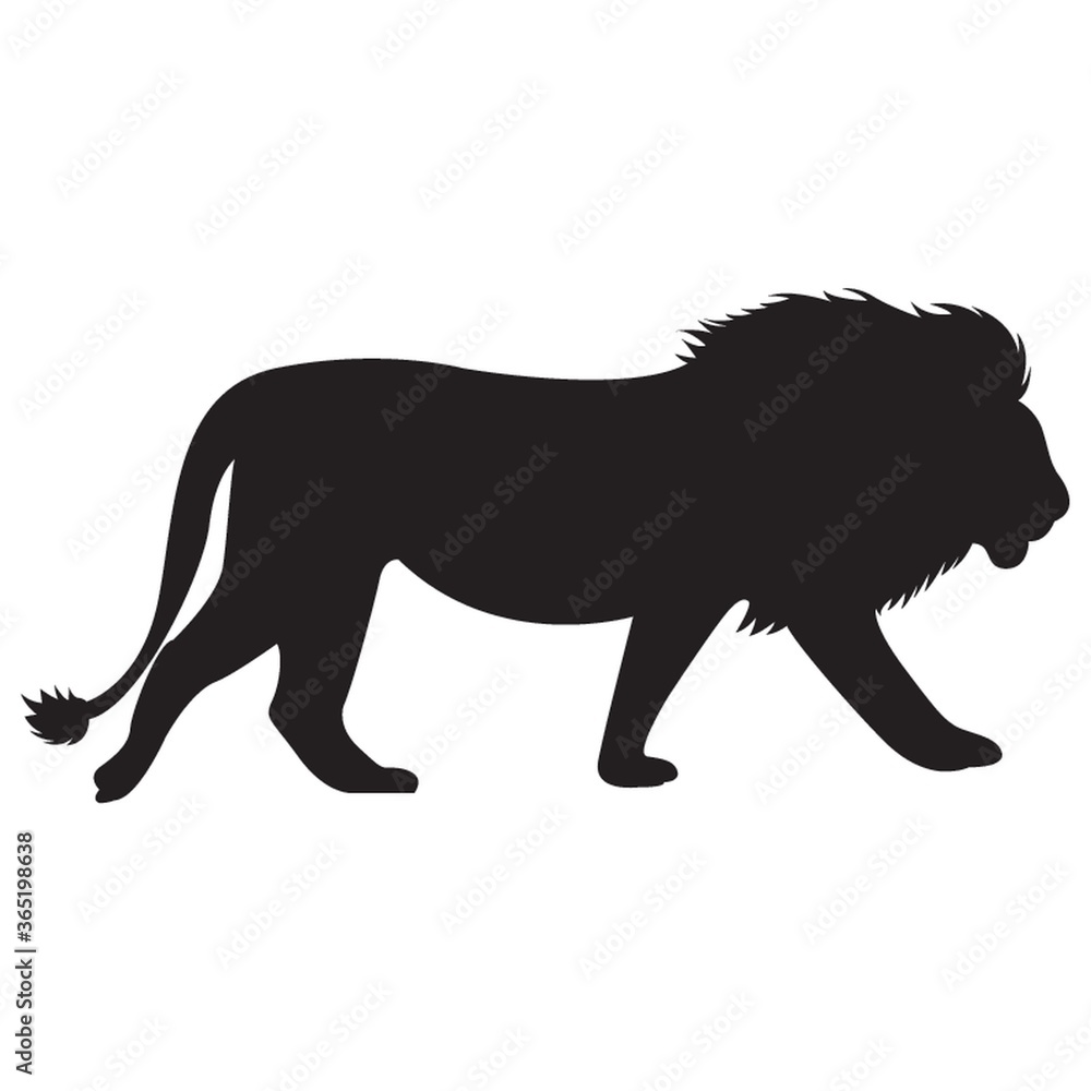 silhouette of lion