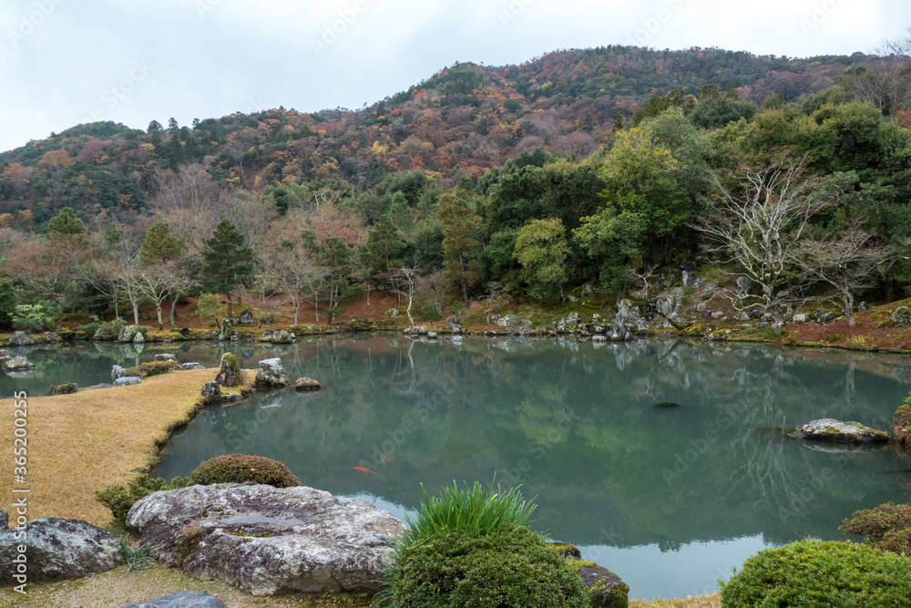 Autumn japanese garden in Tenryuji temple Arashiyama, Kyoto, Japan