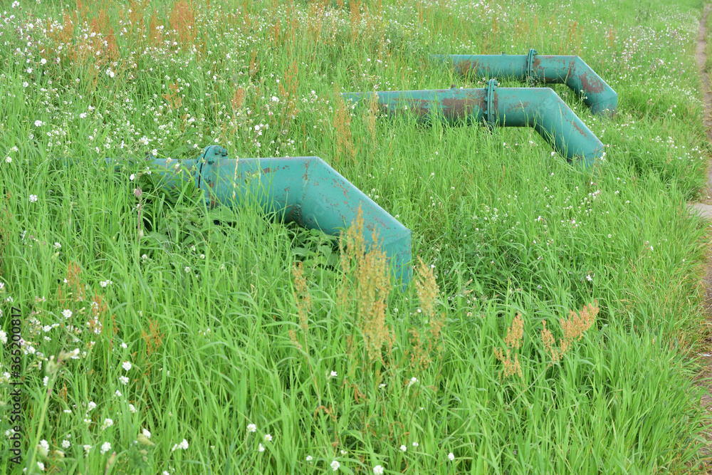 Fototapeta premium A pipe protruding from the grass on a slope.
