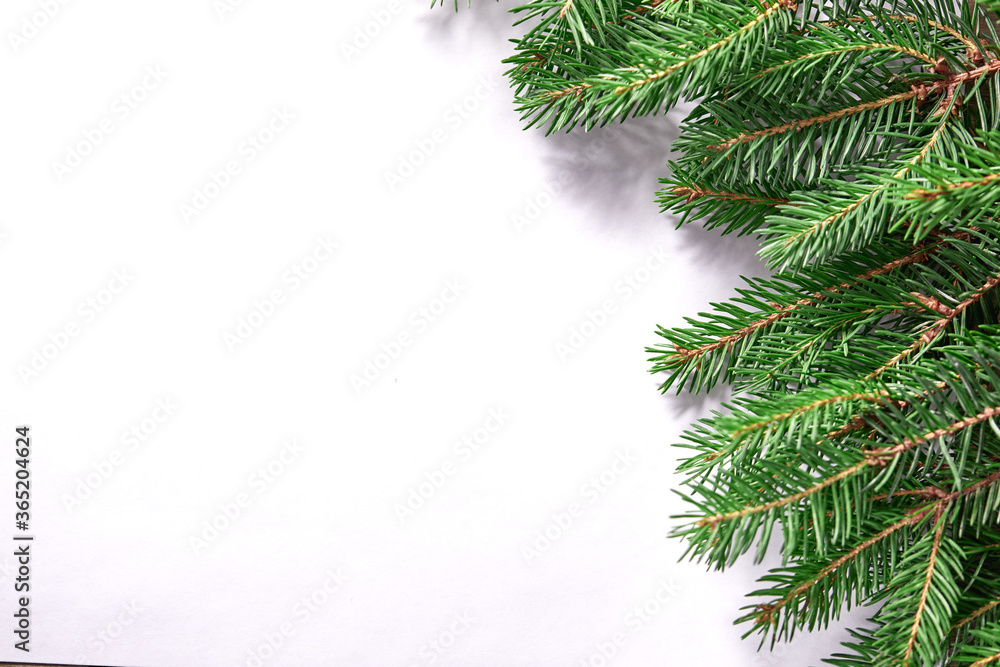 Christmas  card - fir branches on the white paper