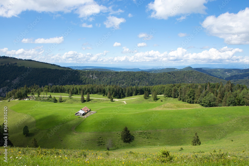 Fresh green meadow on slopes of Jura mountains, old barn, swiss idyll landscape, summer day. Naturpark Thal, Switzerland.