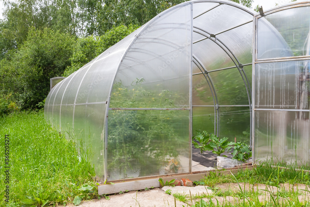 Small plastic greenhouse on small farm with green plants.