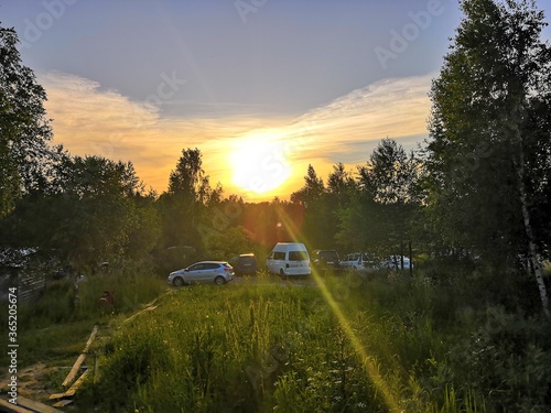 Wallpaper Mural car in the forest Torontodigital.ca