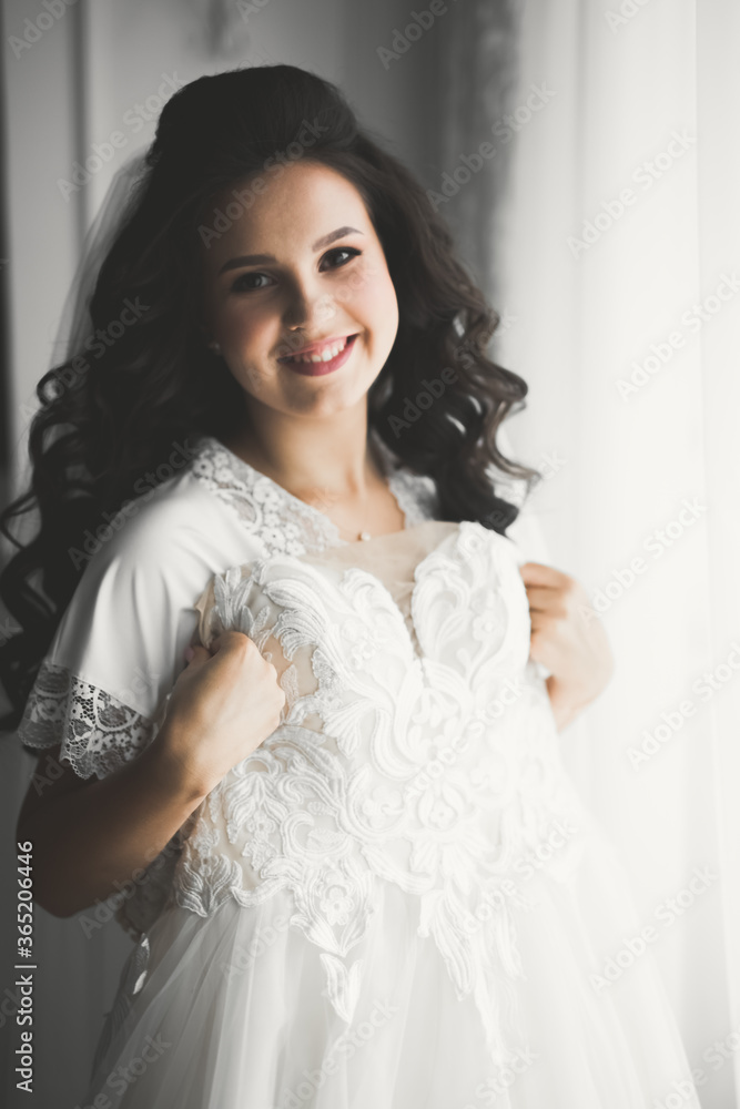 Portrait of beautiful bride with fashion veil at wedding morning Portrait of beautiful bride with fashion veil at wedding morning