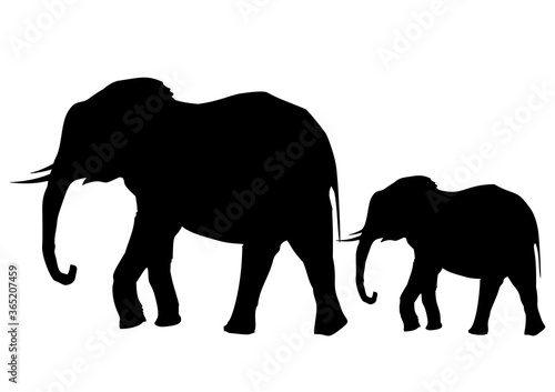 Black silhouette of african elephants. Vector illustration.