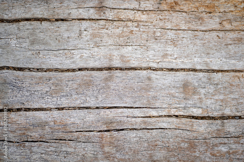 Grey wood surface that can be used as background
