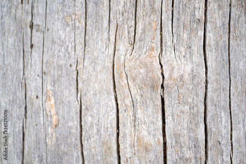 Grey wood surface that can be used as background