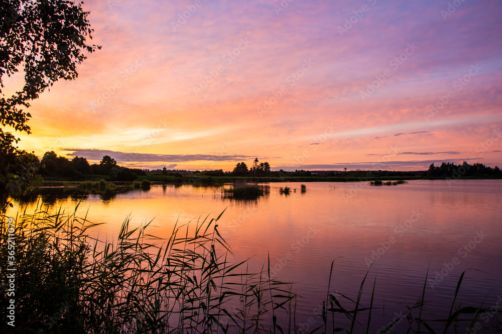 Beautiful pink vibrant sunset on a forest lake