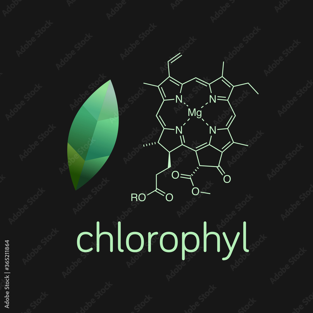 Vector illustration of green leaf and chlorophyll molecule. - obrazy, fototapety, plakaty 