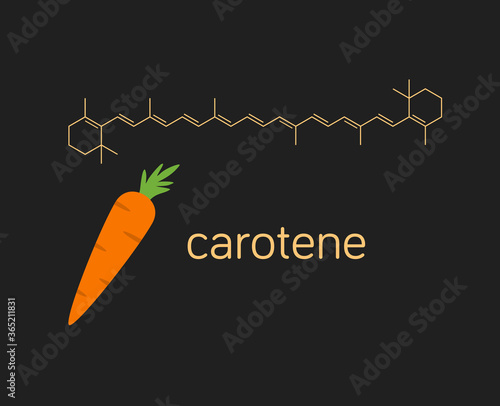 Картината върху платно Vector illustration of carrot and carotene molecule.