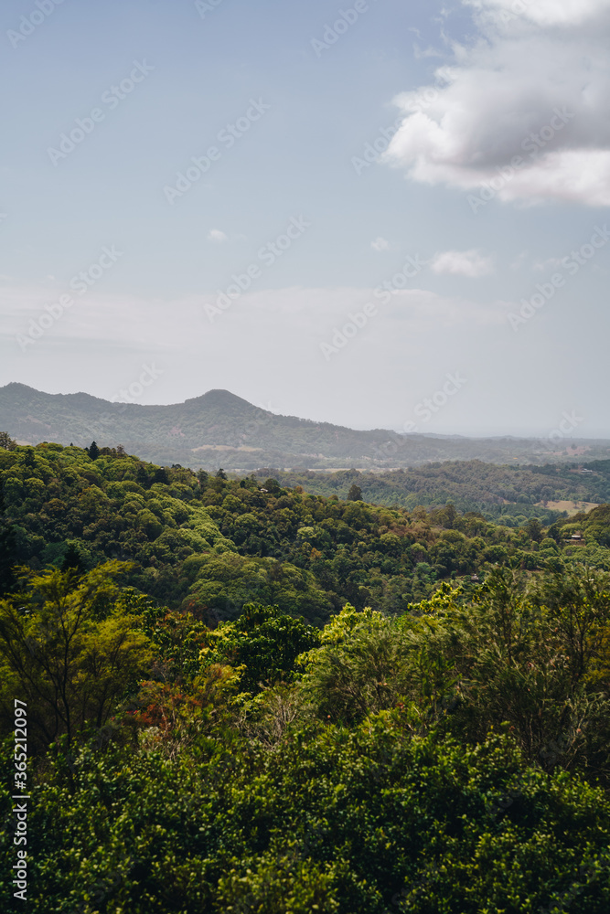 Fototapeta premium view from the Mullumbimby hinterland