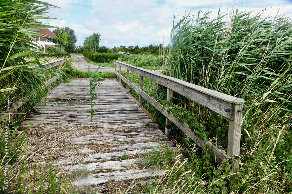 Netherlands. Zeeland Wooden bridge in the field