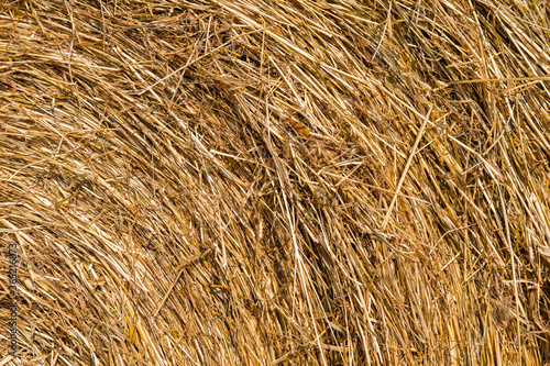 stack of dry straw. autumn background