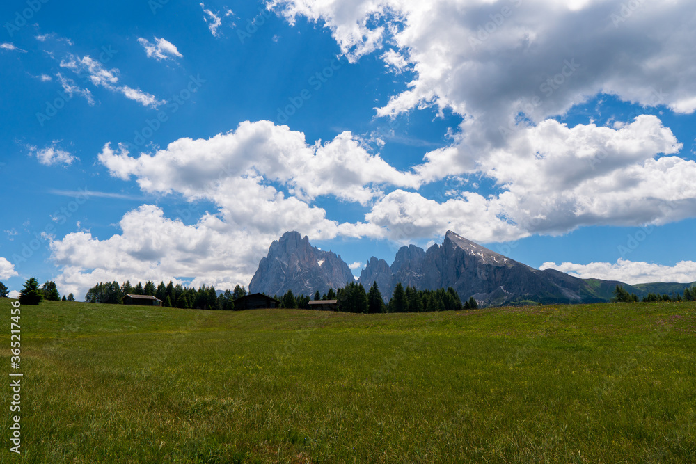 Fototapeta premium Seiser Alm (Alpe di Siusi) with Langkofel mountain at sunrise, Italy