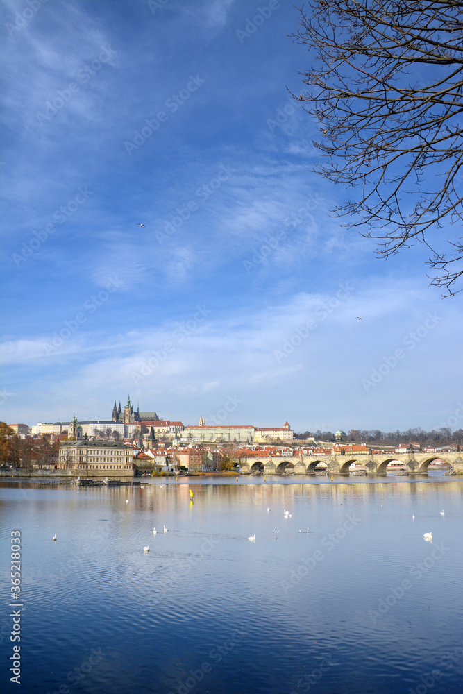 Fototapeta premium charles bridge and prague castle
