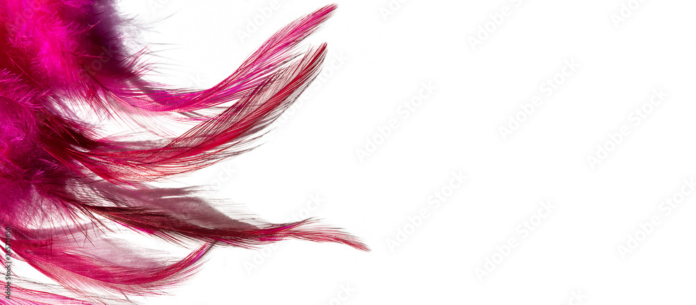 Pink feathers on a white background, abstract background, Fantasy, abstraction, soft color art design, creative, roaring 20