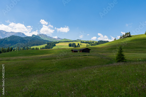 Summer in Italian Dolomiti Alps. Seiser Alm or Alpe di Siusi location, Bolzano province, South Tyrol, Italy, Europe