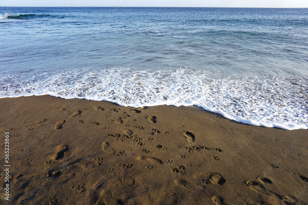 Footprints in sand. Human and dog footprints in sand on a beach. Sand and ocean. Tenerife, Canary Islands, Spain. Footprints in sand. Human and dog footprints in sand on a beach. Sand and ocean. Tenerife, Canary Islands, Spain.