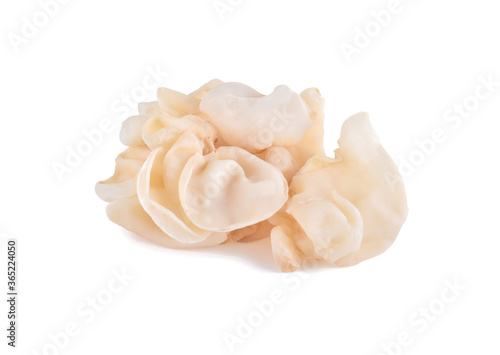 white ear mushroom or white jelly mushroom on white background