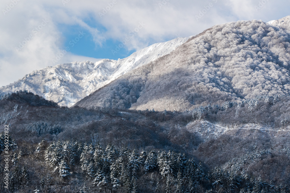 Shirakawa-go in winter season landscape, Japan