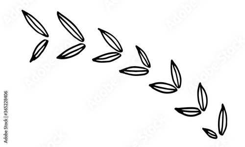Collection of hand drawn leaves. Doodle illustration. Simple floral elements isolated on white background