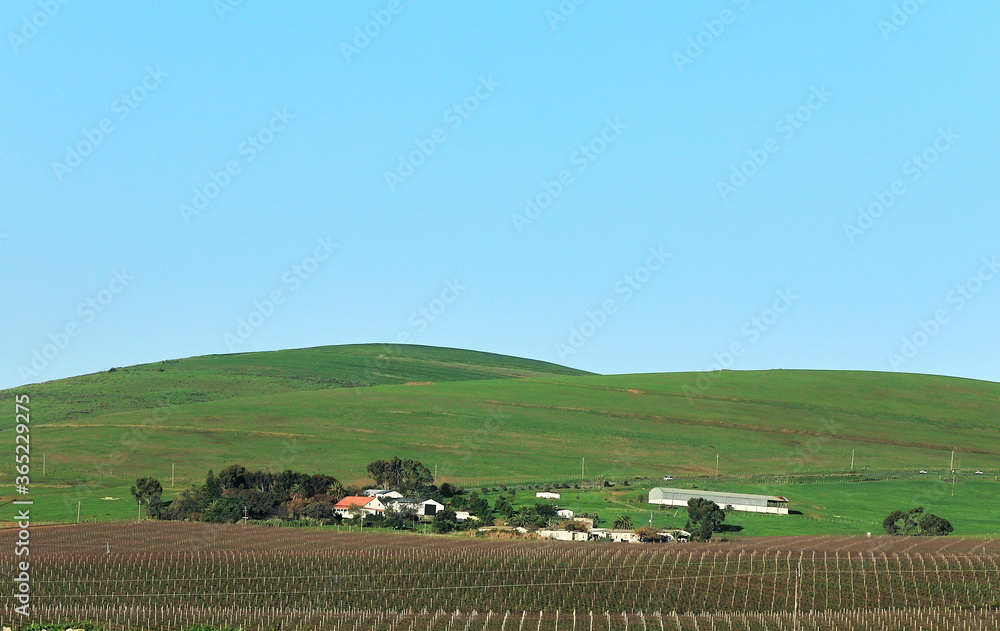 Lovely wine farm in Darbunville hills