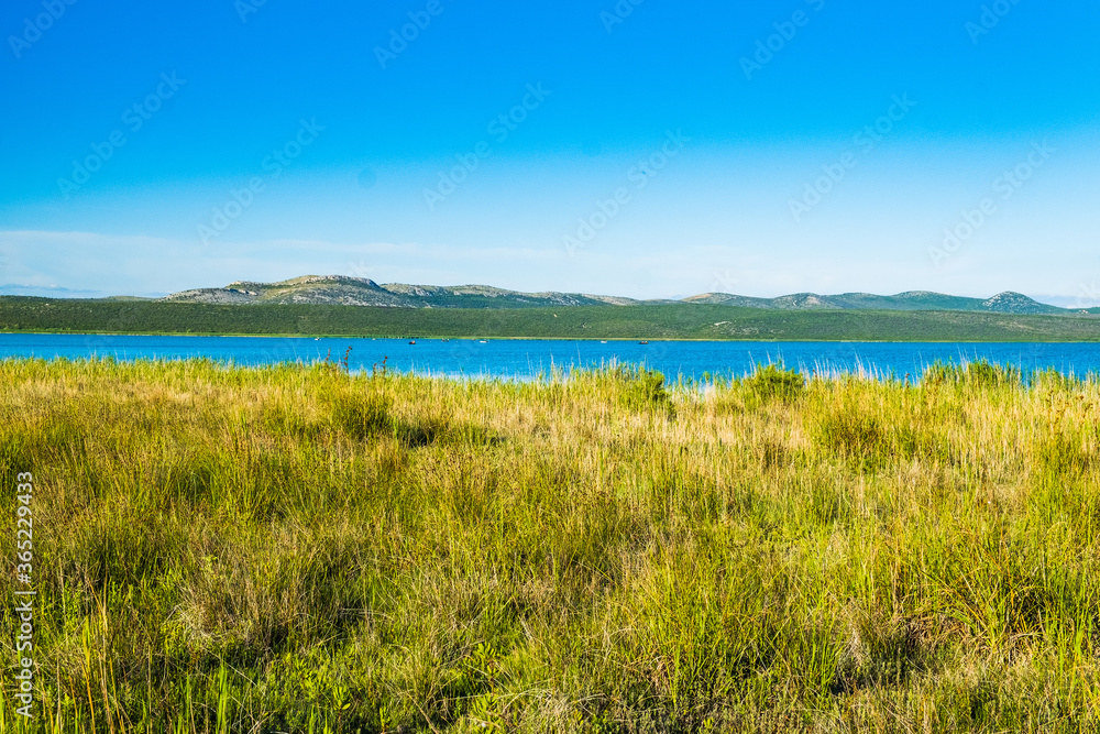 Beautiful meadow and green lake in ornithological nature park Vrana (Vransko jezero) in Dalmatia, Croatia